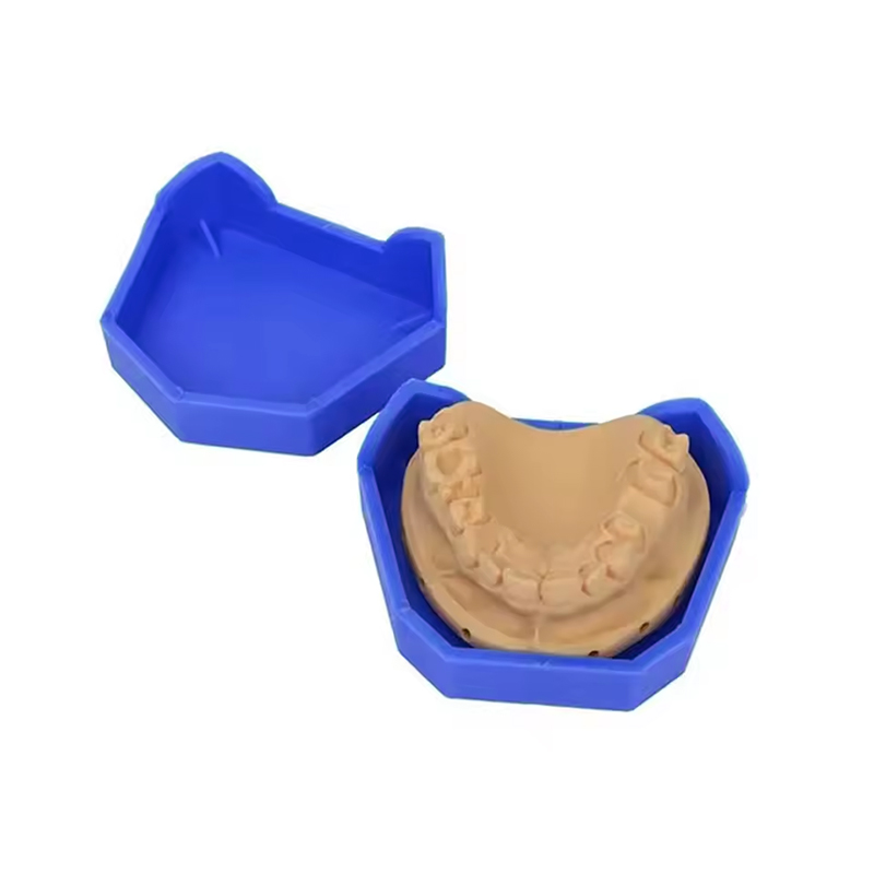 Base de modèle dentaire en plâ - Teeth Whitening Tray avis et prix