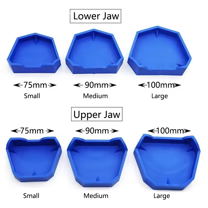 Base de modèle dentaire en plâ - Teeth Whitening Tray avis et prix