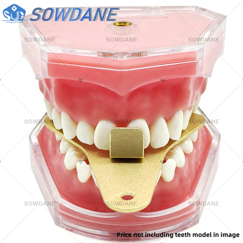 Plateaux d'impression de labor - Teeth Whitening Tray avis et prix