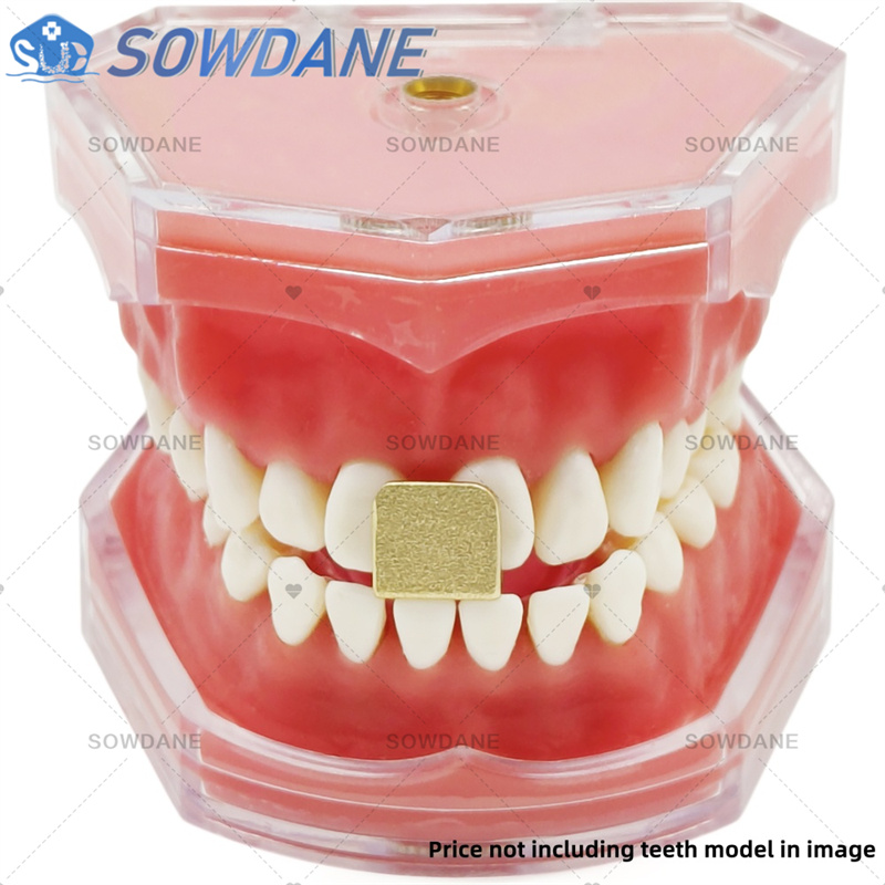 Plateaux d'impression de labor - Teeth Whitening Tray avis et prix