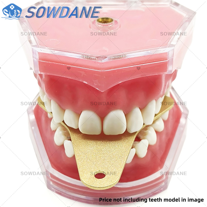 Plateaux d'impression de labor - Teeth Whitening Tray avis et prix