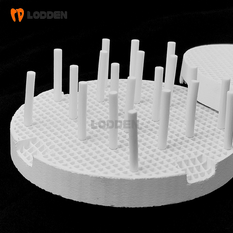 LODDEN plateaux de cuisson en  - Teeth Whitening Tray avis et prix